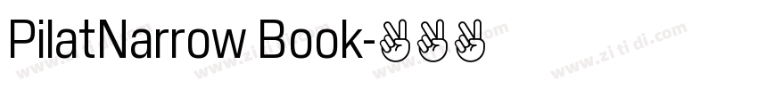 PilatNarrow Book字体转换